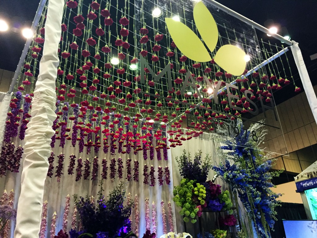 The Special Event - Mayesh