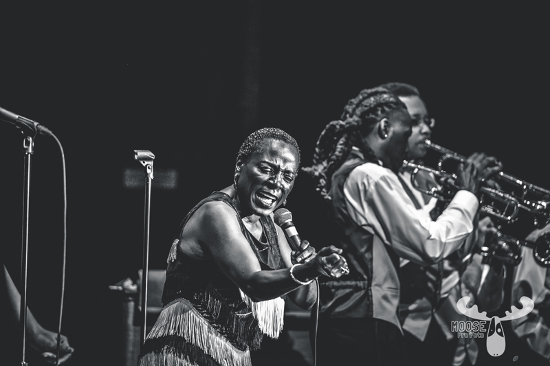 James Brown Birthday Bash | Benefit Concert
