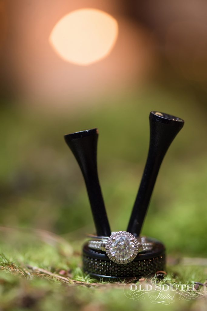 Charlotte_Wedding_Fantasy_Band (4)