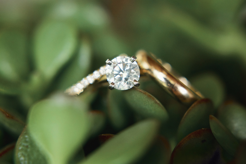 Wedding rings in foliage