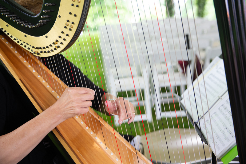 Harpist performing during wedding ceremony at Biltmore.